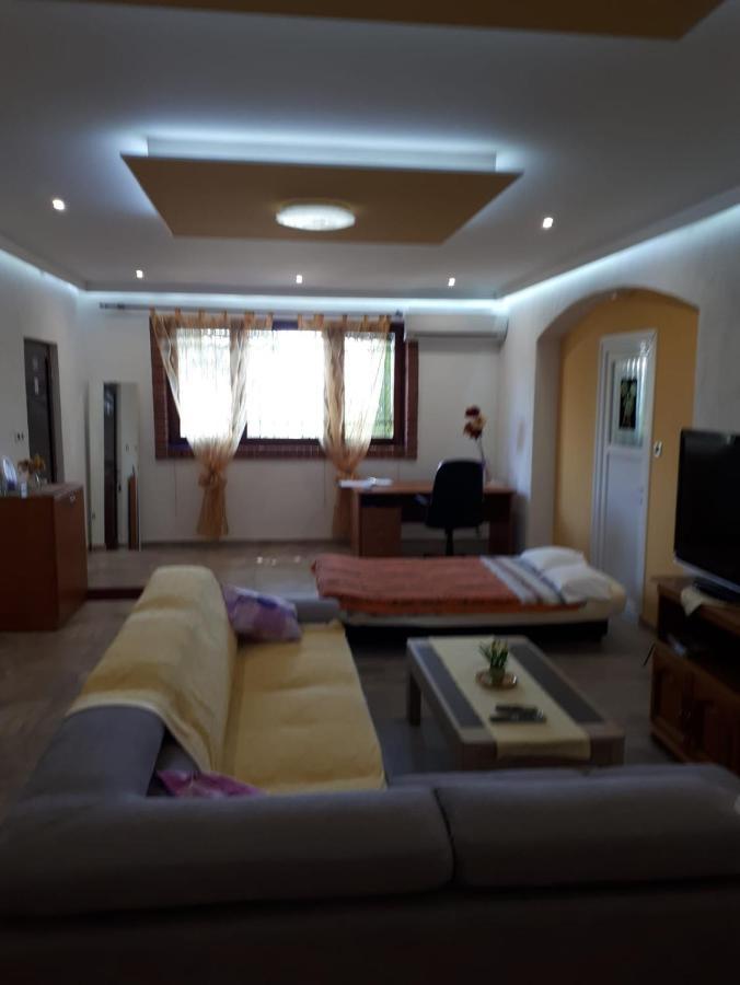Apartman Rosemary Rijeka Extérieur photo